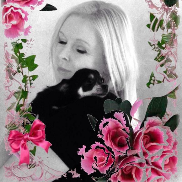 Meet your Posher, Kim - Picture 1 of 1